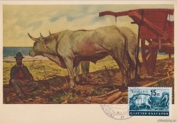 БК 445