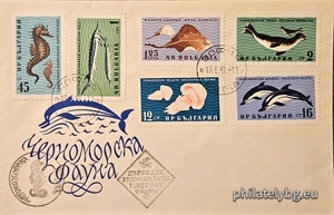 БК 1292