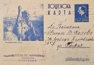 БК k19381