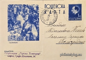 БК k19385