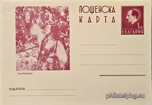 БК k19386