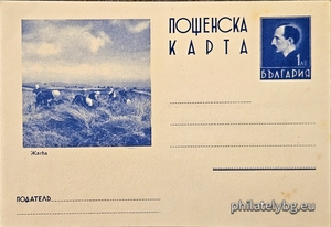 БК k19389