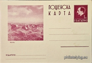 БК k193810