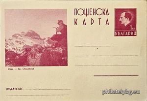 БК k193818