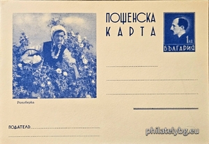 БК k193823