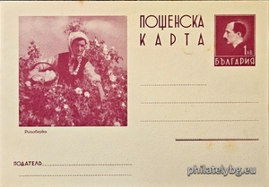 БК k193824
