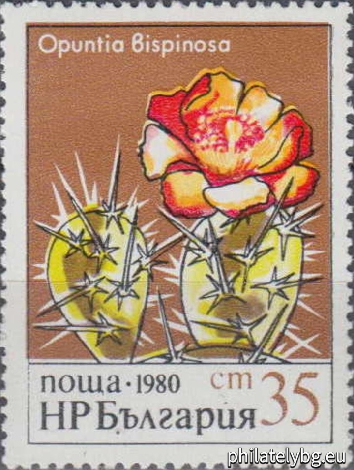 „ Кактуси . “ - пет пощенски марки.