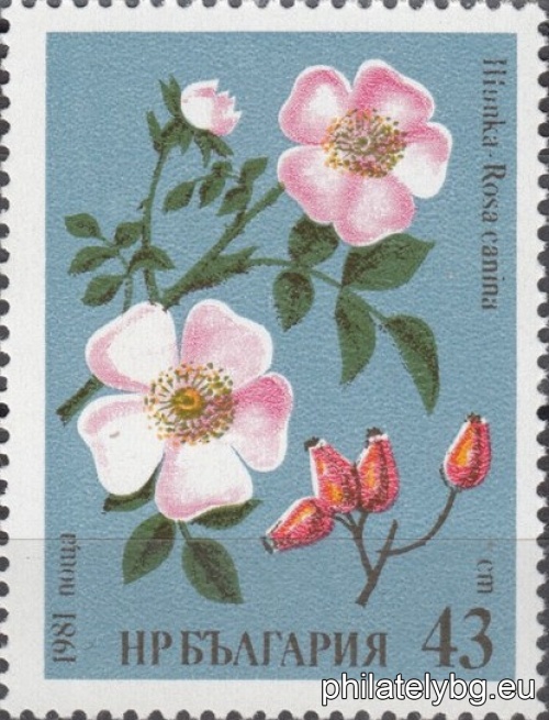 "Medicinal Plants." - six postage stamps.