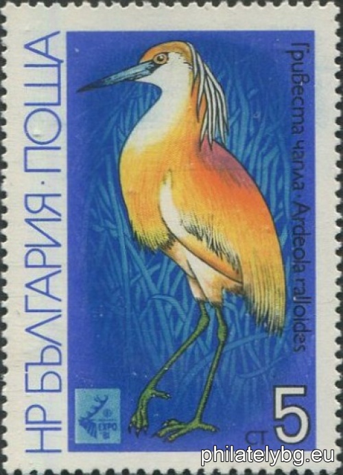 "Marsh birds." - five postage stamps.