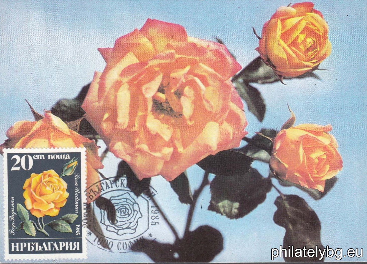 3414 - Kazanlak rose; 3415 - Thracian rose; 3416 - Radiman rose; 3417 - Marista rose; 3418 - Valentina rose; 3419 - Maria rose.