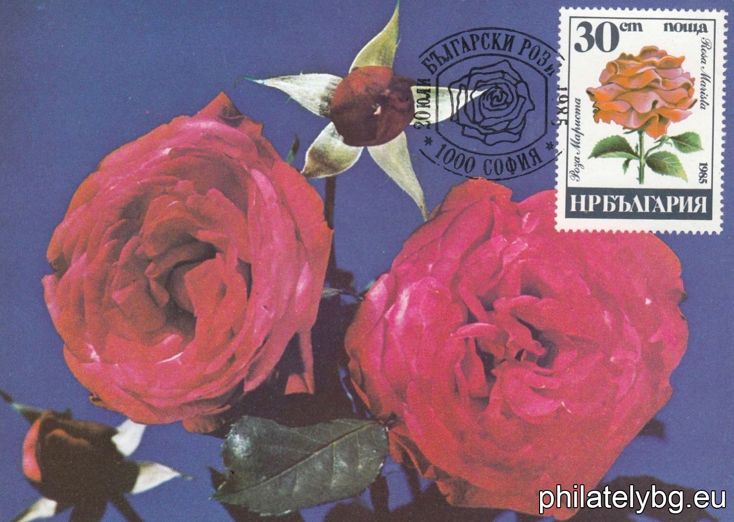 3414 - Kazanlak rose; 3415 - Thracian rose; 3416 - Radiman rose; 3417 - Marista rose; 3418 - Valentina rose; 3419 - Maria rose.