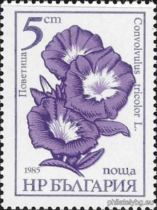 Georgi Gadelev