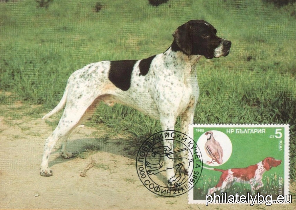 3470 - Pointer and Partridge; 3471 - Irish Setter and Red-headed Duck; 3472 - English Setter and Mallard; 3473 - Cocker Spaniel and Wood Snipe; 3474 - German Shorthaired Pointer and Wild Hare; 3475 - Bulgarian (Ludogorsko) Beagle and Wild Boar; 3476 - Dachshund and Fox.