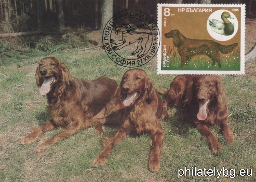 3470 - Pointer and Partridge; 3471 - Irish Setter and Red-headed Duck; 3472 - English Setter and Mallard; 3473 - Cocker Spaniel and Wood Snipe; 3474 - German Shorthaired Pointer and Wild Hare; 3475 - Bulgarian (Ludogorsko) Beagle and Wild Boar; 3476 - Dachshund and Fox.