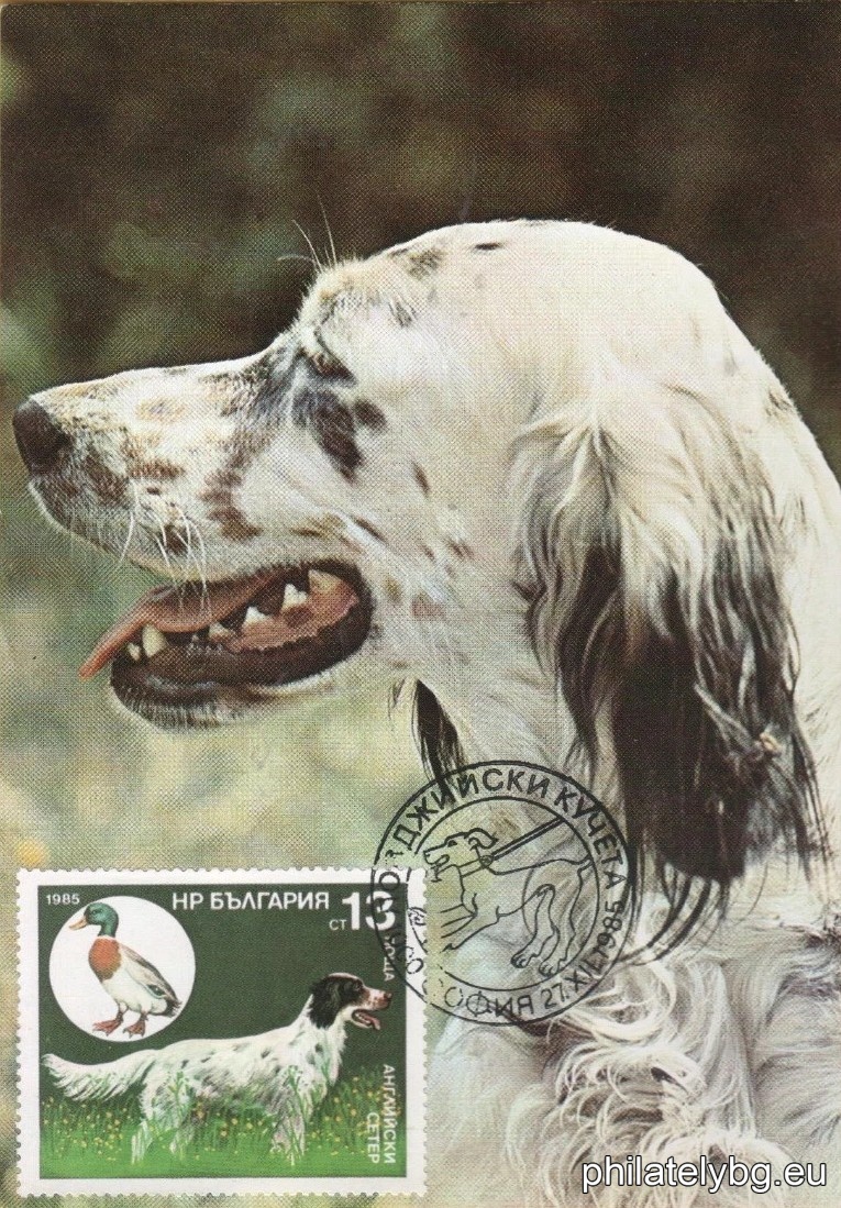 3470 - Pointer and Partridge; 3471 - Irish Setter and Red-headed Duck; 3472 - English Setter and Mallard; 3473 - Cocker Spaniel and Wood Snipe; 3474 - German Shorthaired Pointer and Wild Hare; 3475 - Bulgarian (Ludogorsko) Beagle and Wild Boar; 3476 - Dachshund and Fox.