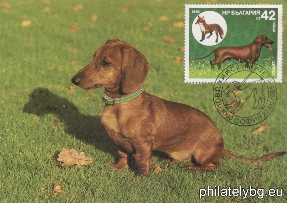 3470 - Pointer and Partridge; 3471 - Irish Setter and Red-headed Duck; 3472 - English Setter and Mallard; 3473 - Cocker Spaniel and Wood Snipe; 3474 - German Shorthaired Pointer and Wild Hare; 3475 - Bulgarian (Ludogorsko) Beagle and Wild Boar; 3476 - Dachshund and Fox.