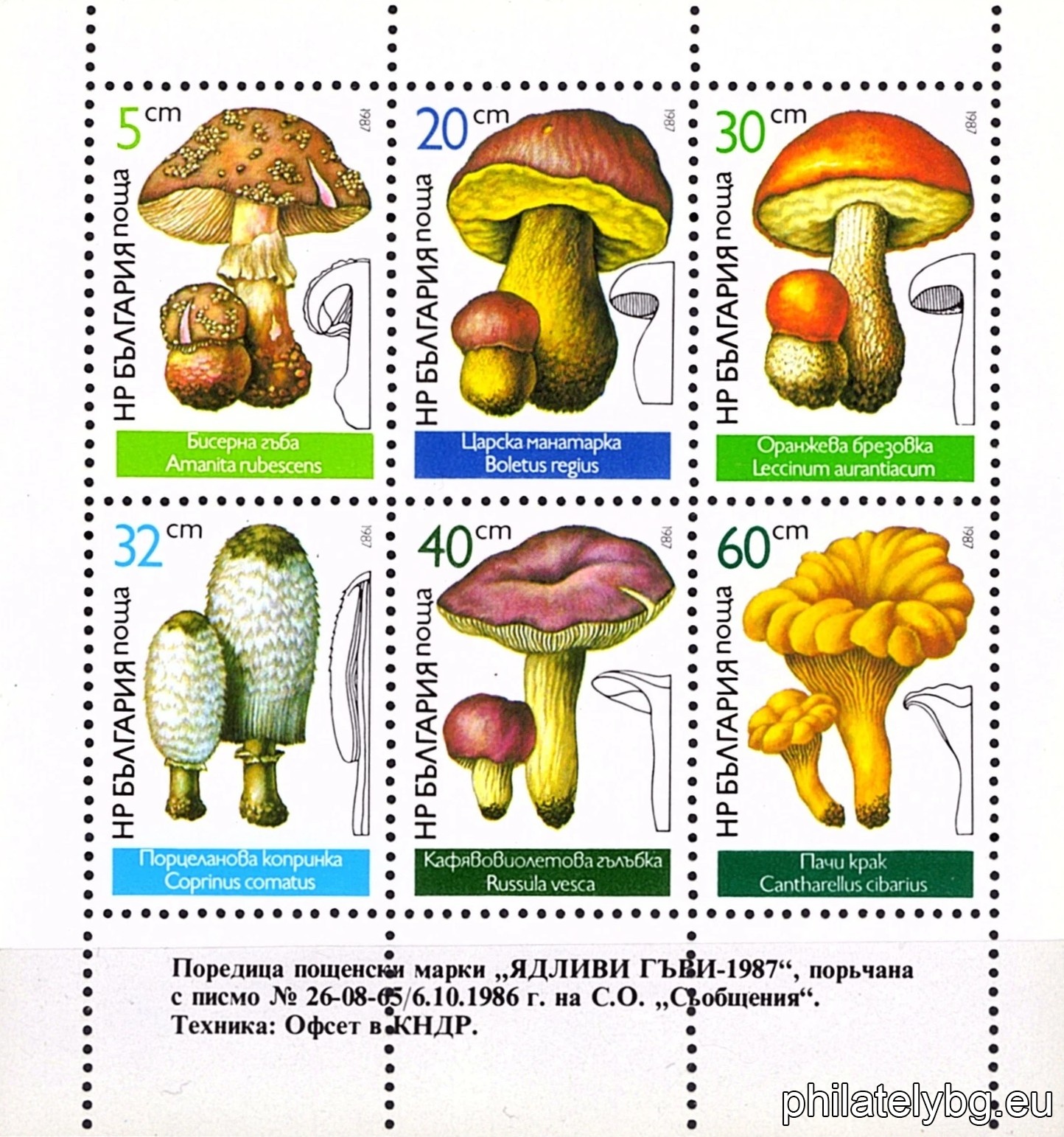 "Edible mushrooms." - six postage stamps in a block sheet without a trimmed lower vintage.