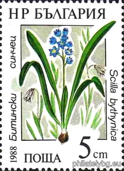 3650 - Bitinian bluebell; 3651 - Rhodope charmer; 3652 - sedge-like marsh; 3653 - nymphoid sedge; 3654 - bears eye; 3655 - aloe-like stratiotes.