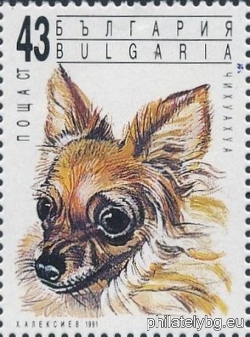 "Saloon Dogs." - six postage stamps.