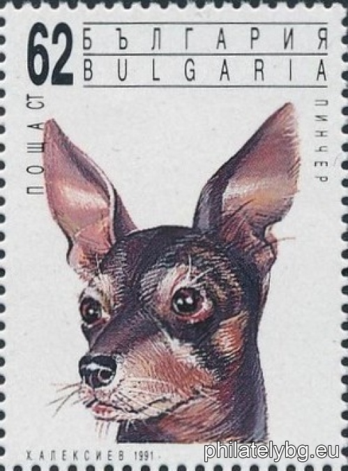 3945 - Japanese Chin; 3946 - Chihuahua; 3947 - Pinscher; 3948 - Yorkshire Terrier; 3949 - Chinese Hairless; 3950 - Pug.