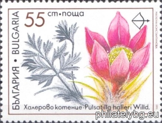 "Action 2000 for environmental protection - rare medicinal plants." - six postage stamps.