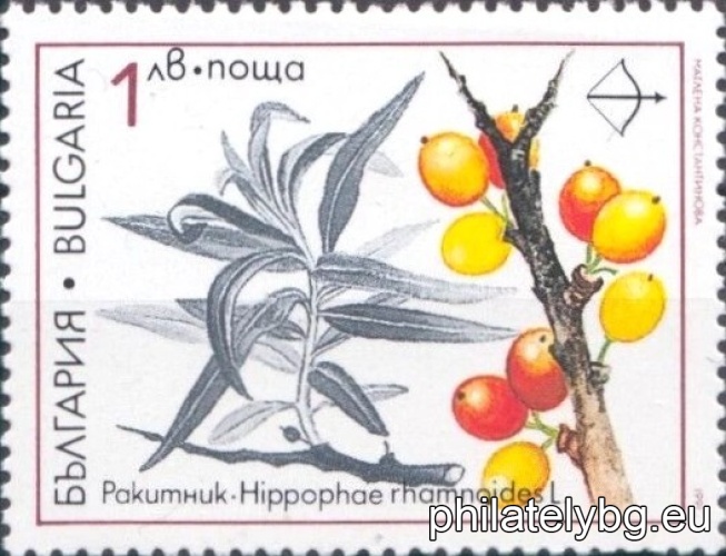 "Action 2000 for environmental protection - rare medicinal plants." - six postage stamps.