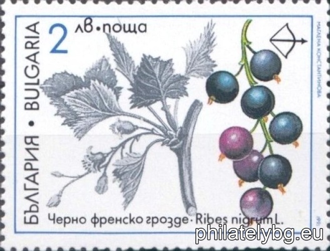 "Action 2000 for environmental protection - rare medicinal plants." - six postage stamps.