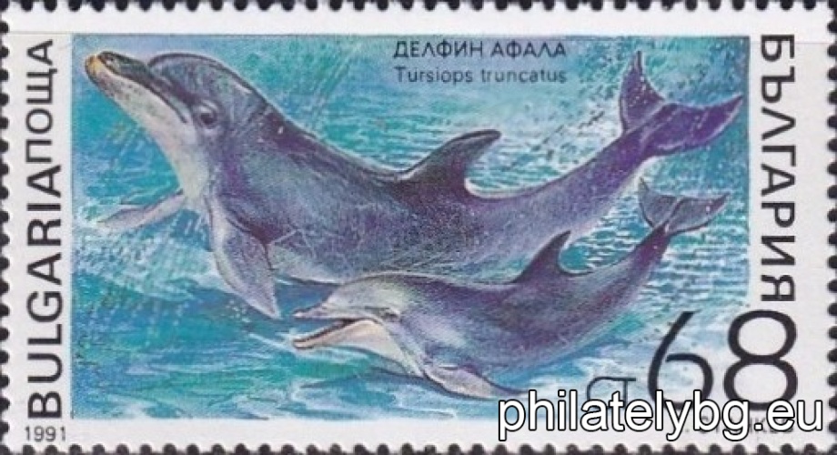 "Marine mammals." - six postage stamps.
