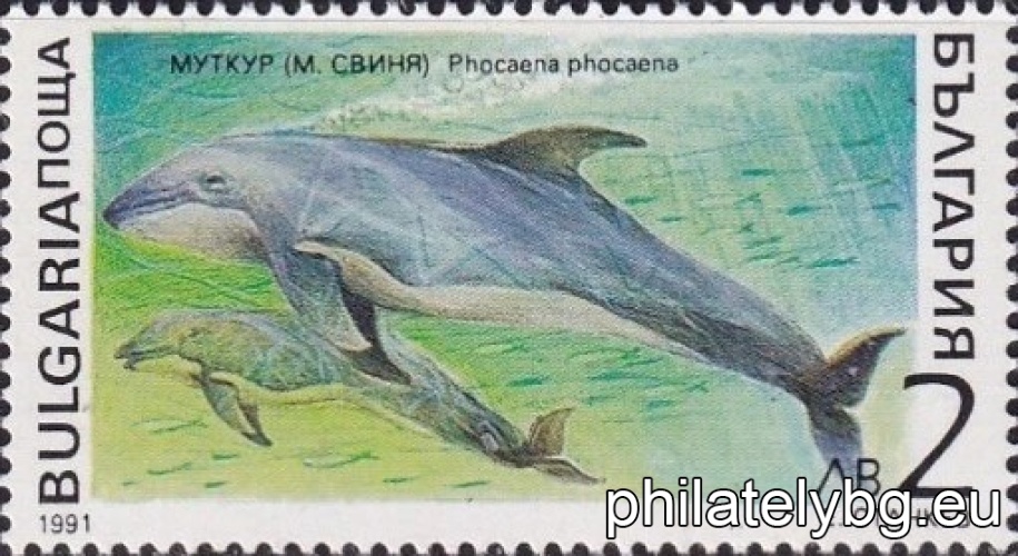 "Marine mammals." - six postage stamps.