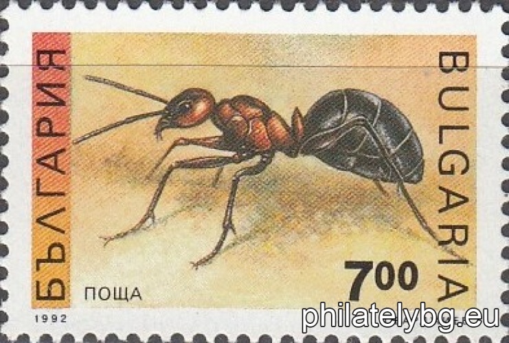 4014 - red forest ant; 4015 - yellow-fronted hoverfly.