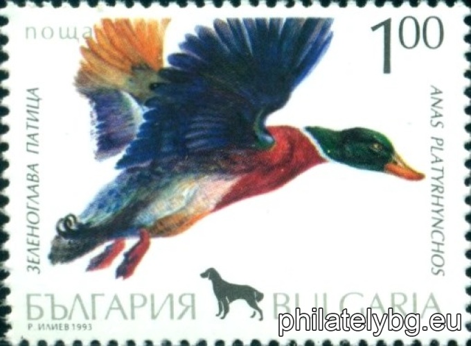 Radoslav Iliev