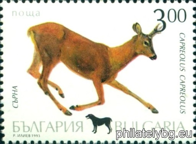 4096 - mallard; 4097 - Colchis pheasant; 4098 - fox; 4099 - roe deer; 4100 - gray hare; 4101 - wild boar; on each stamp - a silhouette of a hunting dog.