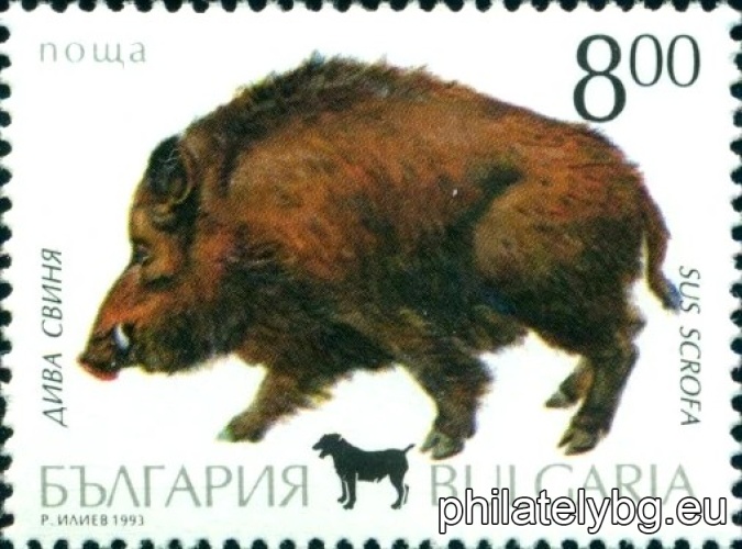 4096 - mallard; 4097 - Colchis pheasant; 4098 - fox; 4099 - roe deer; 4100 - gray hare; 4101 - wild boar; on each stamp - a silhouette of a hunting dog.