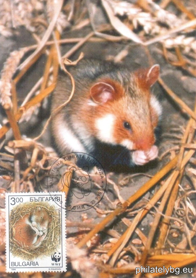 "WWF - Common Hamster" - four postage stamps.