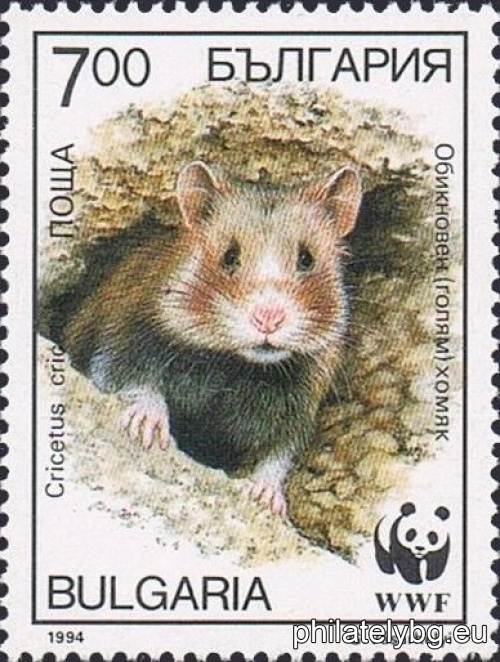 "WWF - Common Hamster" - four postage stamps.