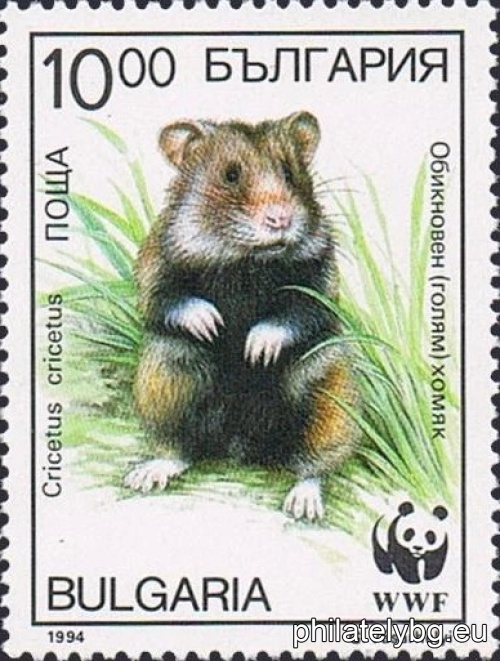 "WWF - Common Hamster" - four postage stamps.