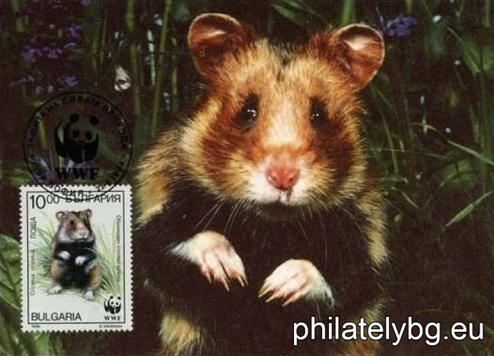 "WWF - Common Hamster" - four postage stamps.