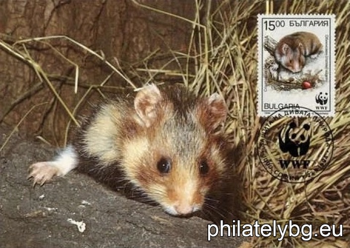 "WWF - Common Hamster" - four postage stamps.