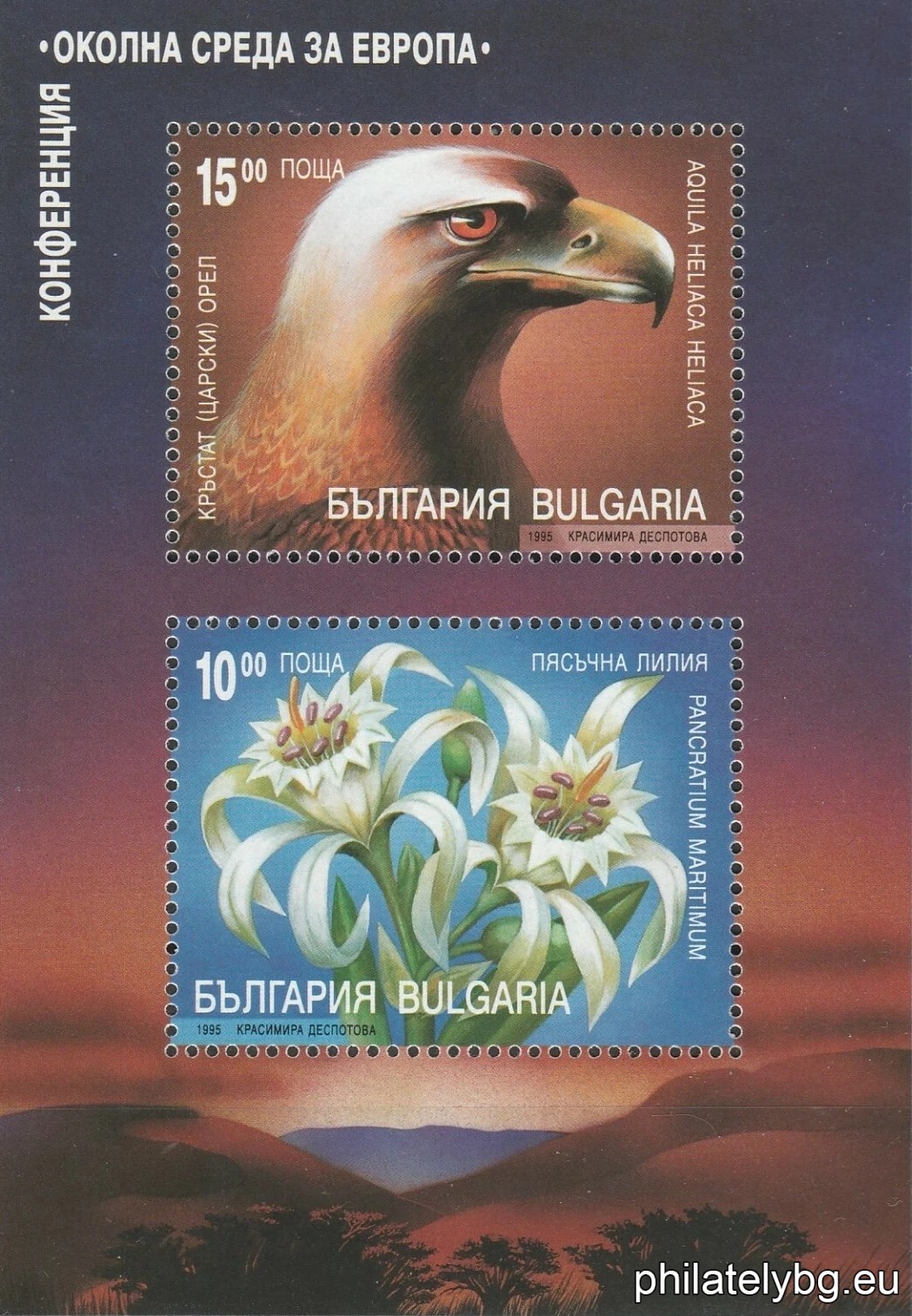 Krasimira Despotova