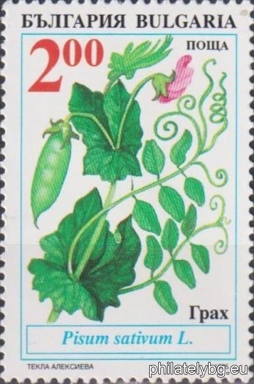 "Traditional agricultural crops for Bulgaria." - six postage stamps.
