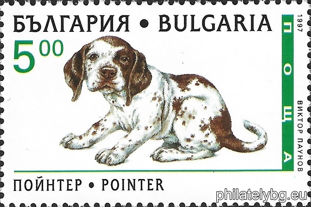 "Purebred puppies." - four postage stamps.