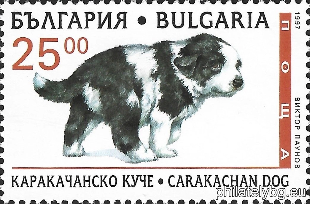 "Purebred puppies." - four postage stamps.