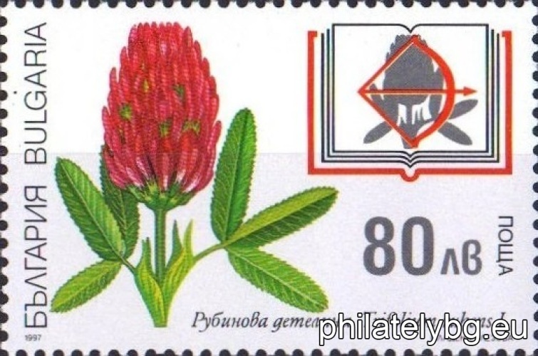 Mladena Elezova