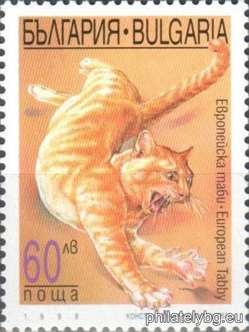 4347 - European Tabby; 4348 - Siamese; 4349 - Exotic; 4350 - Burmese Sacred.