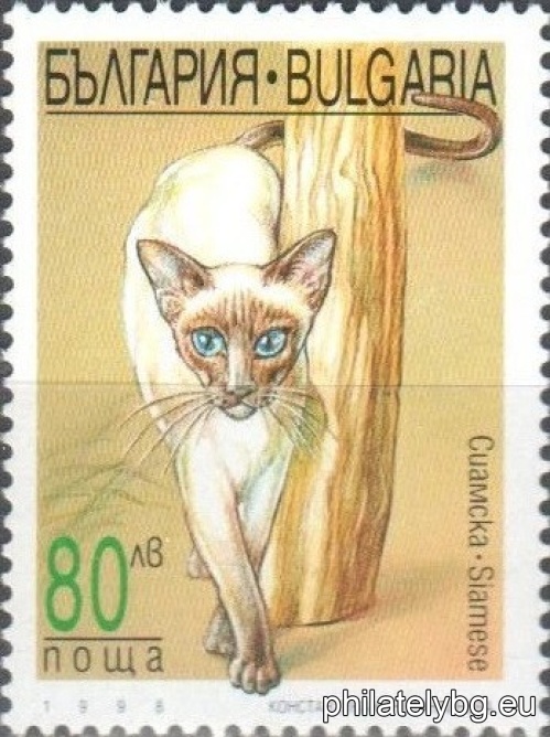 4347 - European Tabby; 4348 - Siamese; 4349 - Exotic; 4350 - Burmese Sacred.