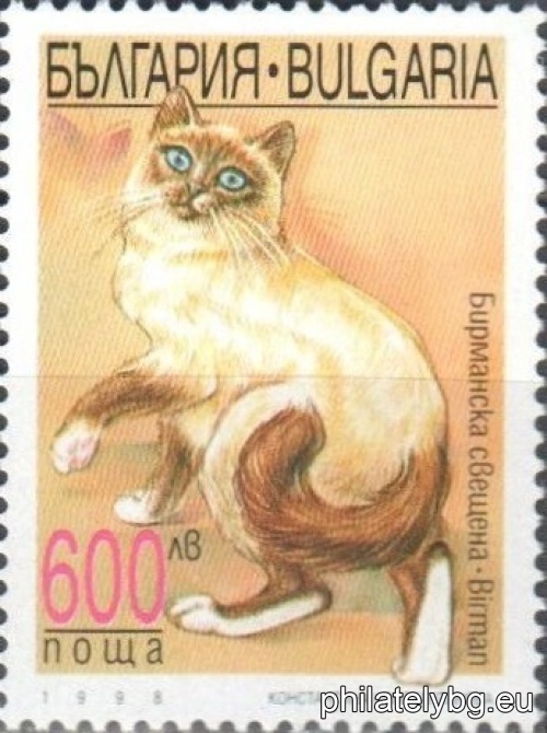 4347 - European Tabby; 4348 - Siamese; 4349 - Exotic; 4350 - Burmese Sacred.