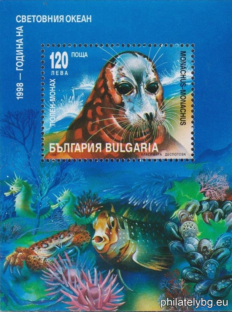 Monk seal, seabed and its inhabitants.