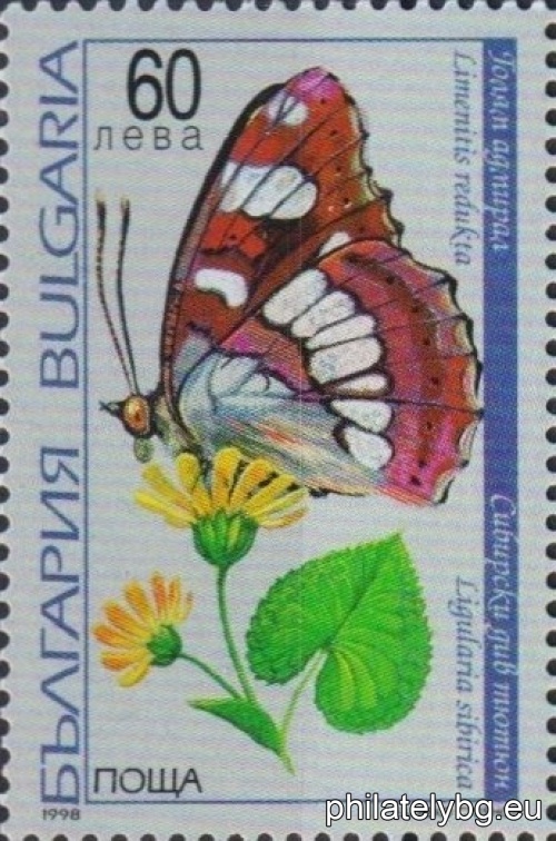 Zdravko Stoyanov
